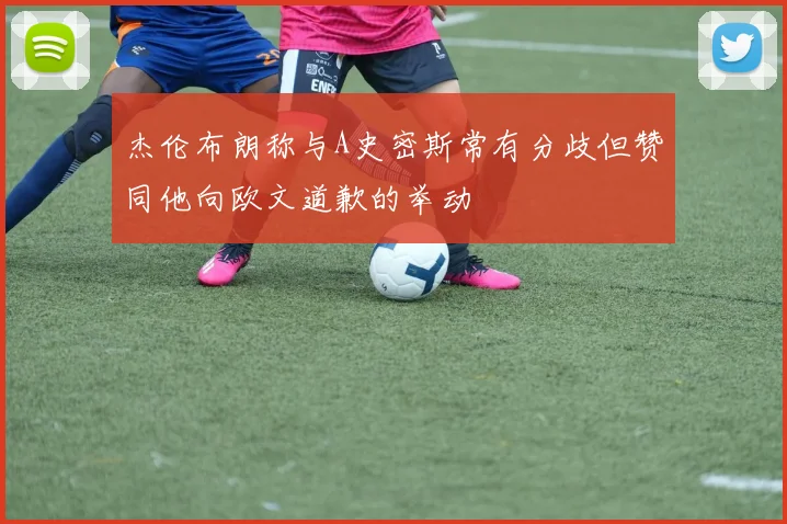 杰伦布朗称与A史密斯常有分歧但赞同他向欧文道歉的举动